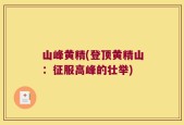 山峰黄精(登顶黄精山：征服高峰的壮举)