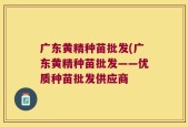 广东黄精种苗批发(广东黄精种苗批发——优质种苗批发供应商
