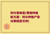 利川黄精苗(黄精种植新方案：利川种植户尝试黄精苗引种)
