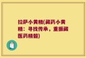 拉萨小黄精(藏药小黄精：寻找传承，重振藏医药精髓)