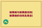 制黄精与制黄精功效(制黄精的功效及用途)