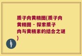 质子肉黄精图(质子肉黄精图 - 探索质子肉与黄精素的结合之谜)