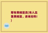 那有黄精苗卖(有人出售黄精苗，速来抢购！)