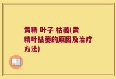 黄精 叶子 枯萎(黄精叶枯萎的原因及治疗方法)
