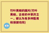 竹叶黄精的图片(竹叶黄精，古老的中草药之一，被认为有多种医用和保健功效)