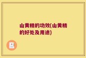 山黄精的功效(山黄精的好处及用途)