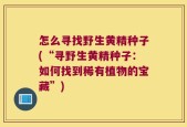 怎么寻找野生黄精种子(“寻野生黄精种子：如何找到稀有植物的宝藏”)