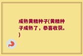 成熟黄精种子(黄精种子成熟了，恭喜收获。)