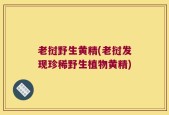 老挝野生黄精(老挝发现珍稀野生植物黄精)