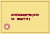老君镇黄精种植(老君镇：黄精之乡)