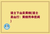 道士下山卖黄精(道士离山行：黄精传承密闻)