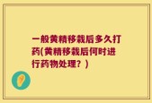 一般黄精移栽后多久打药(黄精移栽后何时进行药物处理？)