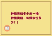 种植黄精多少米一棵(种植黄精，每棵米价多少？)