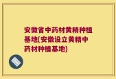 安徽省中药材黄精种植基地(安徽设立黄精中药材种植基地)