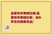 桑葚知母黄精牡蛎(桑葚知母黄精牡蛎：滋补养生的健康圣品)