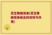 灵芝黄精党参(灵芝黄精党参组合的功效与作用)