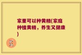 家里可以种黄精(家庭种植黄精，养生又健康)