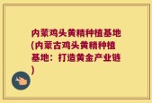 内蒙鸡头黄精种植基地(内蒙古鸡头黄精种植基地：打造黄金产业链)