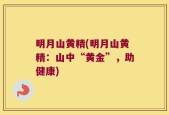 明月山黄精(明月山黄精：山中“黄金”，助健康)