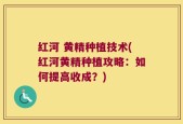 红河 黄精种植技术(红河黄精种植攻略：如何提高收成？)