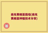 南充黄精苗栽培(南充黄精苗种植技术分享)