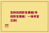 怎样找到野生黄精(寻找野生黄精：一场寻宝之旅)