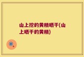 山上挖的黄精晒干(山上晒干的黄精)