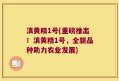 滇黄精1号(重磅推出！滇黄精1号，全新品种助力农业发展)