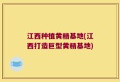 江西种植黄精基地(江西打造巨型黄精基地)