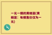 一元一棵的黄精苗(黄精苗：每棵售价仅为一元)