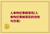 人参枸杞黄精菊花(人参枸杞黄精菊花的功效与作用)