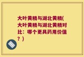 大叶黄精与湖北黄精(大叶黄精与湖北黄精对比：哪个更具药用价值？)