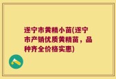 遂宁市黄精小苗(遂宁市产销优质黄精苗，品种齐全价格实惠)