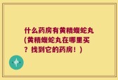 什么药房有黄精蝮蛇丸(黄精蝮蛇丸在哪里买？找到它的药房！)