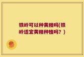 铁岭可以种黄精吗(铁岭适宜黄精种植吗？)