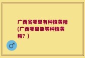 广西省哪里有种植黄精(广西哪里能够种植黄精？)