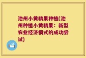 池州小黄精果种植(池州种植小黄精果：新型农业经济模式的成功尝试)