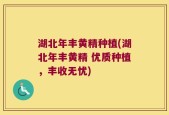湖北年丰黄精种植(湖北年丰黄精 优质种植，丰收无忧)