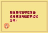 楚雄黄精苗哪家便宜(选择楚雄黄精苗的经验分享)
