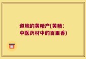 道地的黄精产(黄精：中医药材中的百里香)
