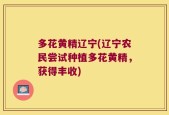 多花黄精辽宁(辽宁农民尝试种植多花黄精，获得丰收)