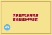 滇黄精麻(滇黄精麻 西南新宠护肝明星)