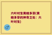六叶对生黄精多芽(黄精多芽的神奇之处：六叶对生)
