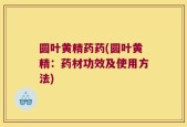 圆叶黄精药药(圆叶黄精：药材功效及使用方法)