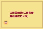 江西黄精苗(江西黄精苗栽种技巧分享)