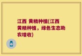 江西 黄精种植(江西黄精种植，绿色生态助农增收)