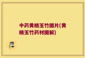 中药黄精玉竹图片(黄精玉竹药材图解)