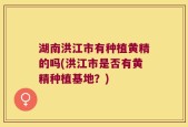 湖南洪江市有种植黄精的吗(洪江市是否有黄精种植基地？)