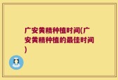 广安黄精种植时间(广安黄精种植的最佳时间)