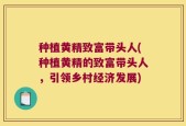 种植黄精致富带头人(种植黄精的致富带头人，引领乡村经济发展)